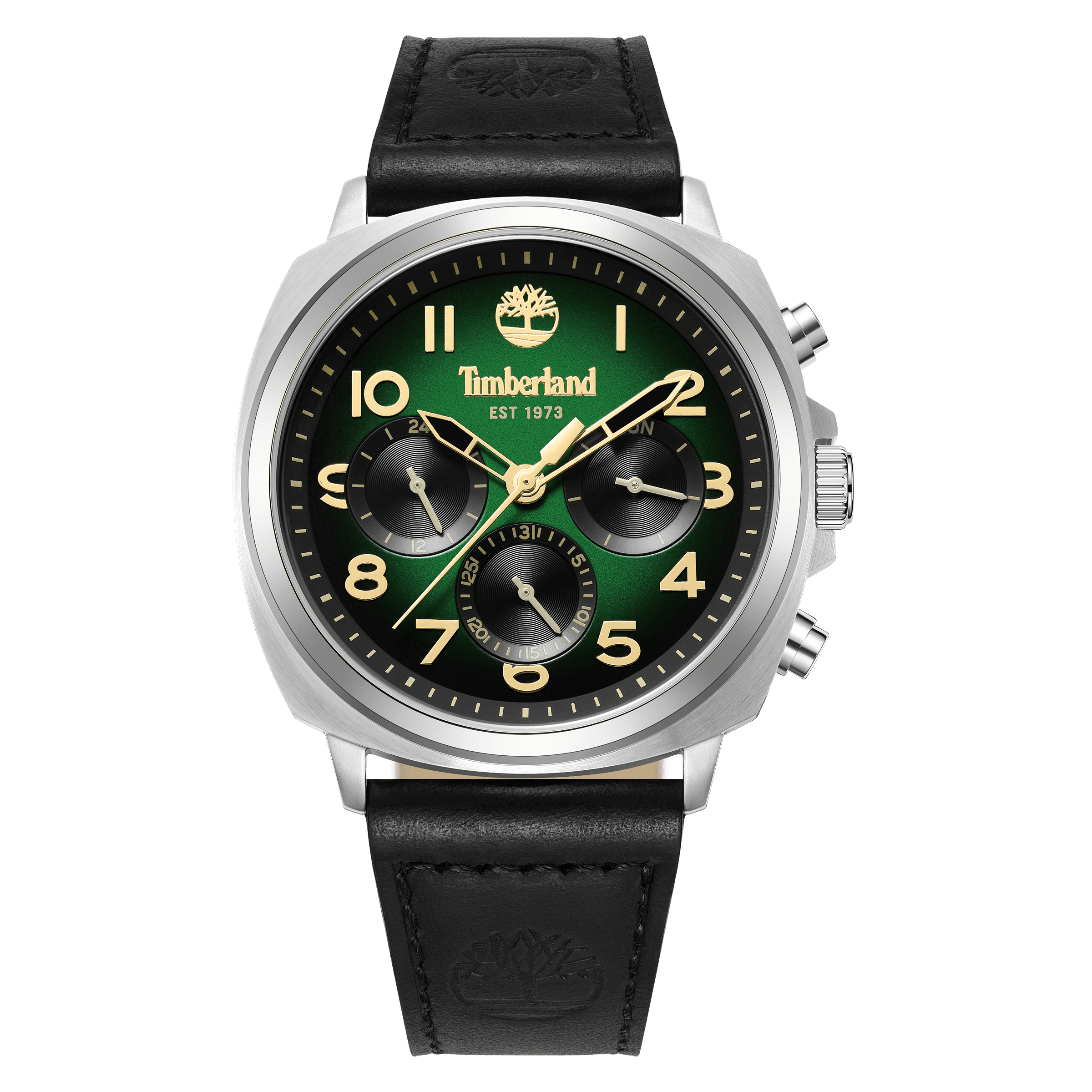 Timberland Williston-Small TDWGB0042008