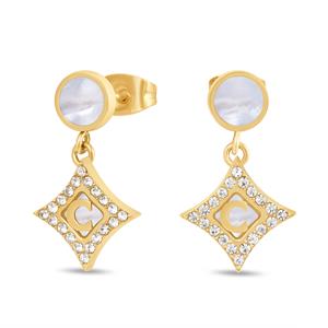 Cerruti Tessa, серьги CIJLE0015006