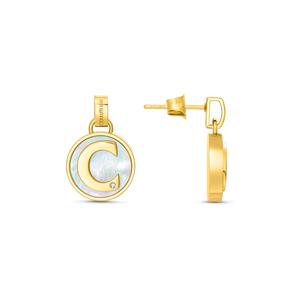 Cerruti Circulo, серьги CIJLE0005302